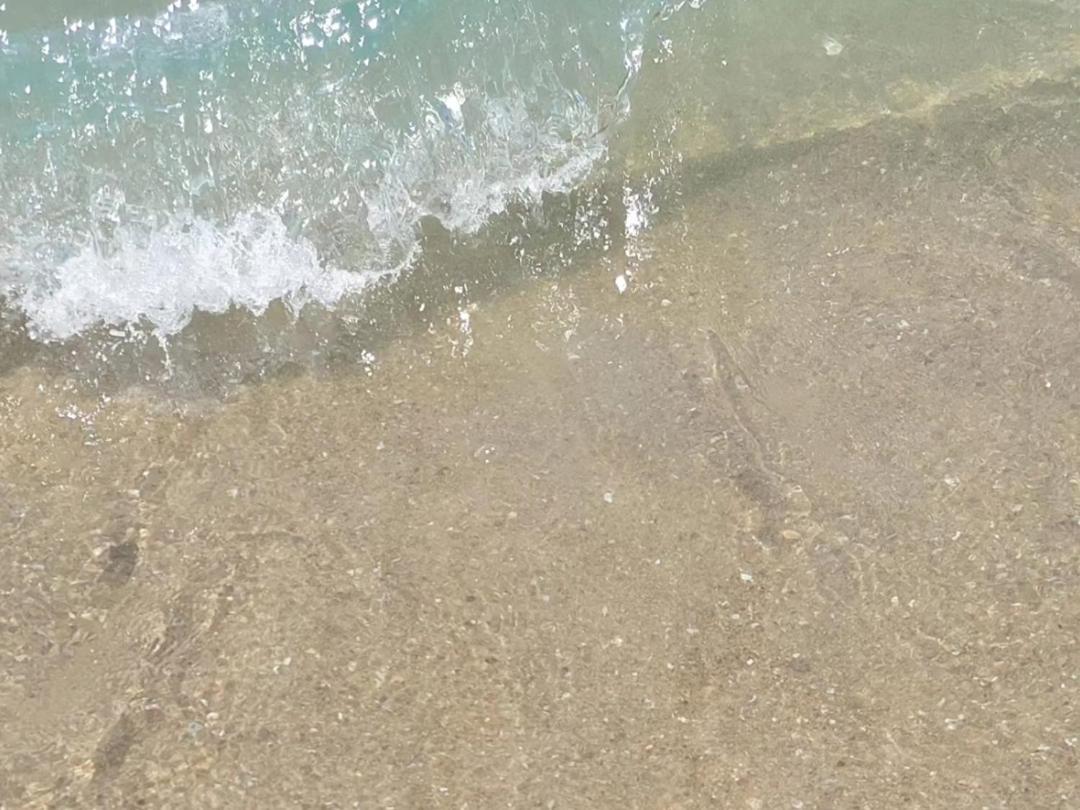 Pousada Sereia Morena Floripa Florianópolis Kültér fotó